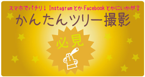 かんたんツリー撮影